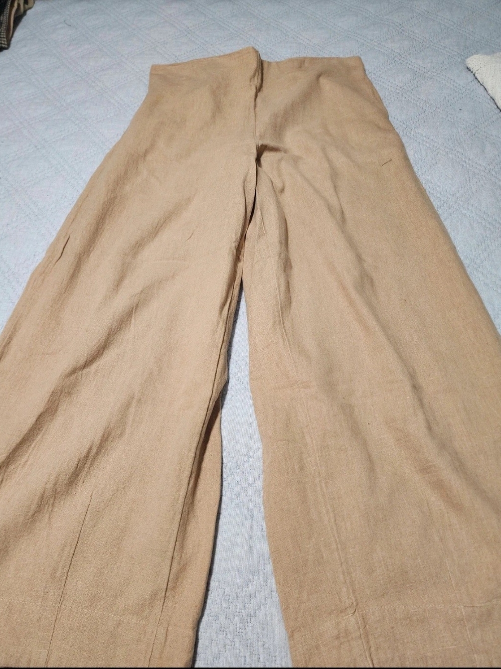 Free People Wide Leg Linen-Blend Pants in Tan